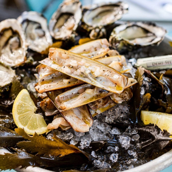 Le restaurant - Saveurs Marines - restaurant LA GRANDE-MOTTE - Restaurant Poisson La Grande Motte