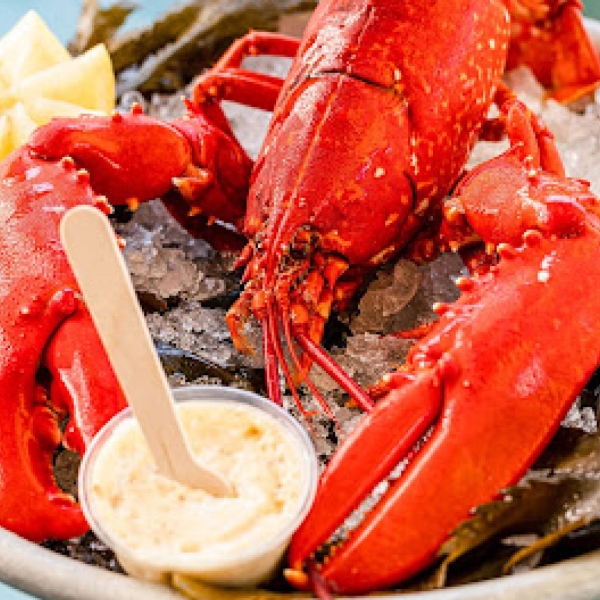 Le restaurant - Saveurs Marines - restaurant LA GRANDE-MOTTE - Huître Grande motte