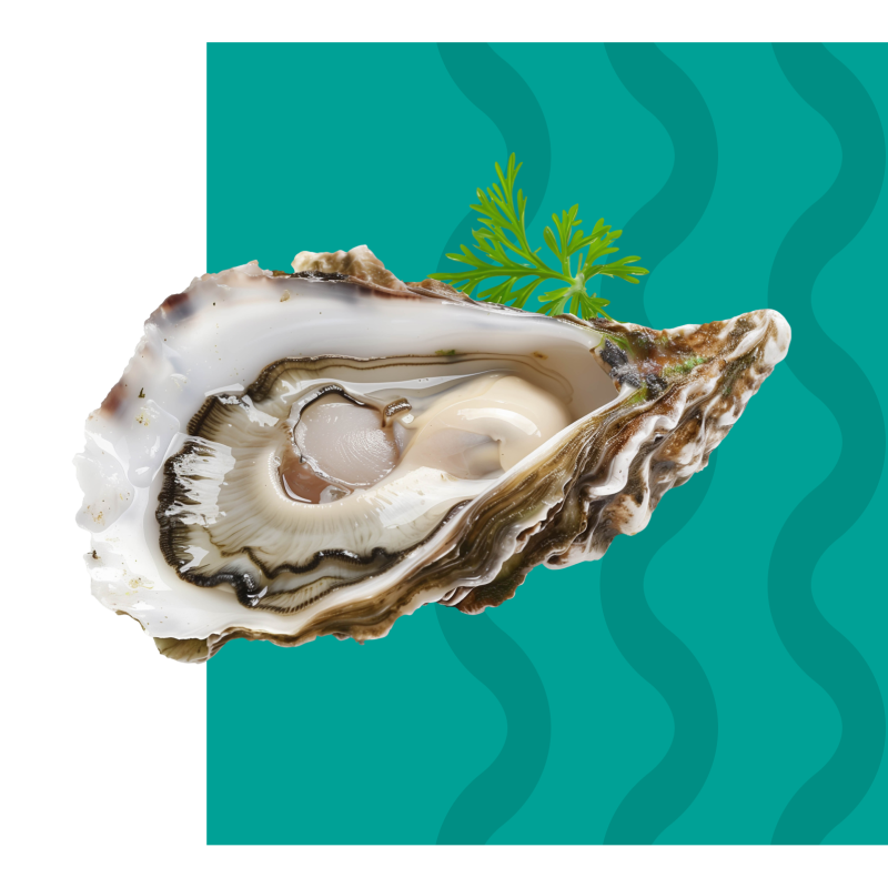 Saveurs Marines - restaurant LA GRANDE-MOTTE - top resto LA GRANDE-MOTTE