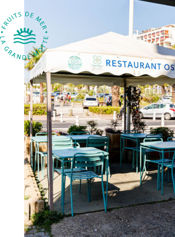 Saveurs Marines - restaurant LA GRANDE-MOTTE - Restaurant terrasse La Grande Motte