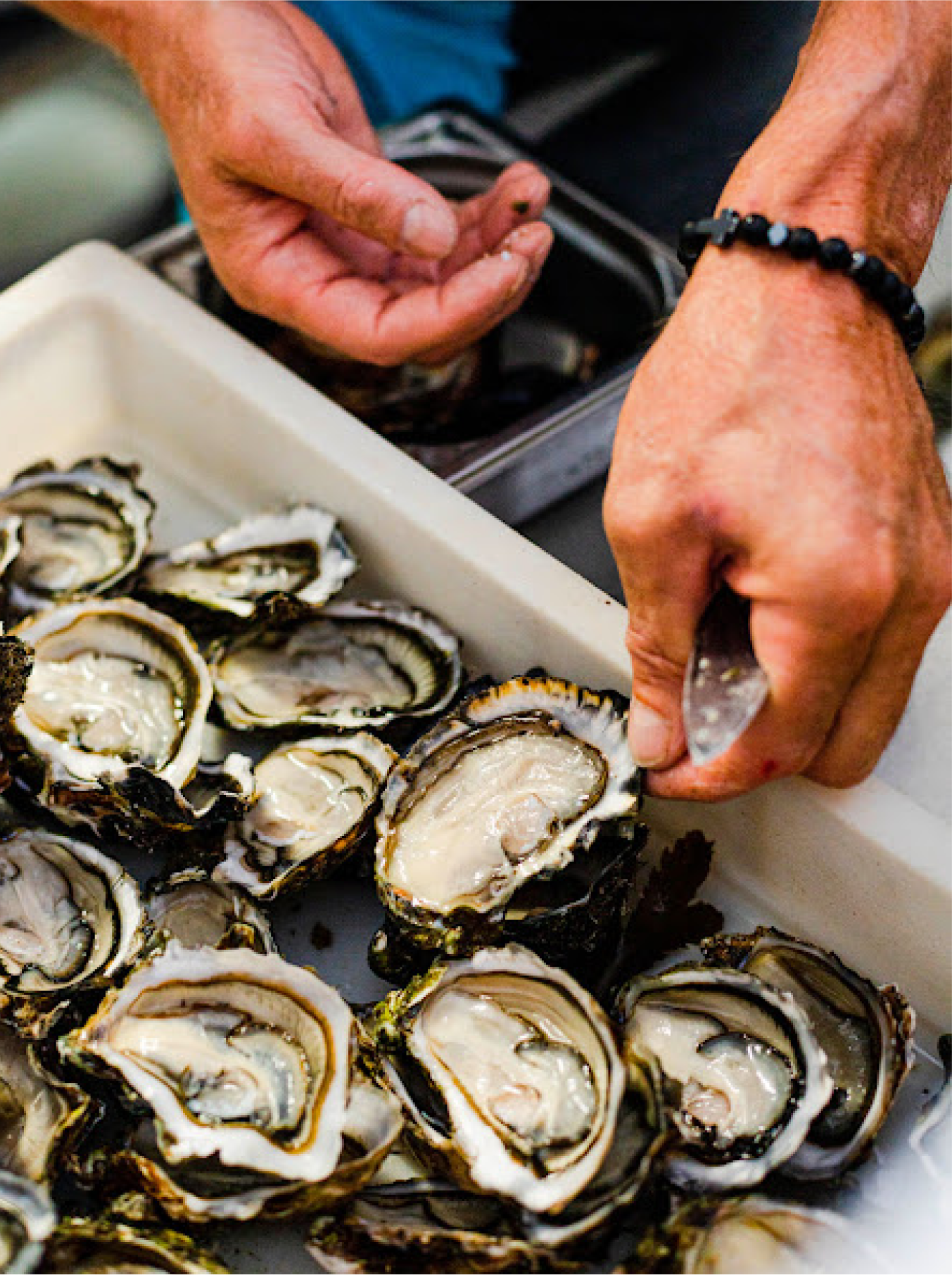 Notre Histoire - Saveurs Marines - restaurant LA GRANDE-MOTTE