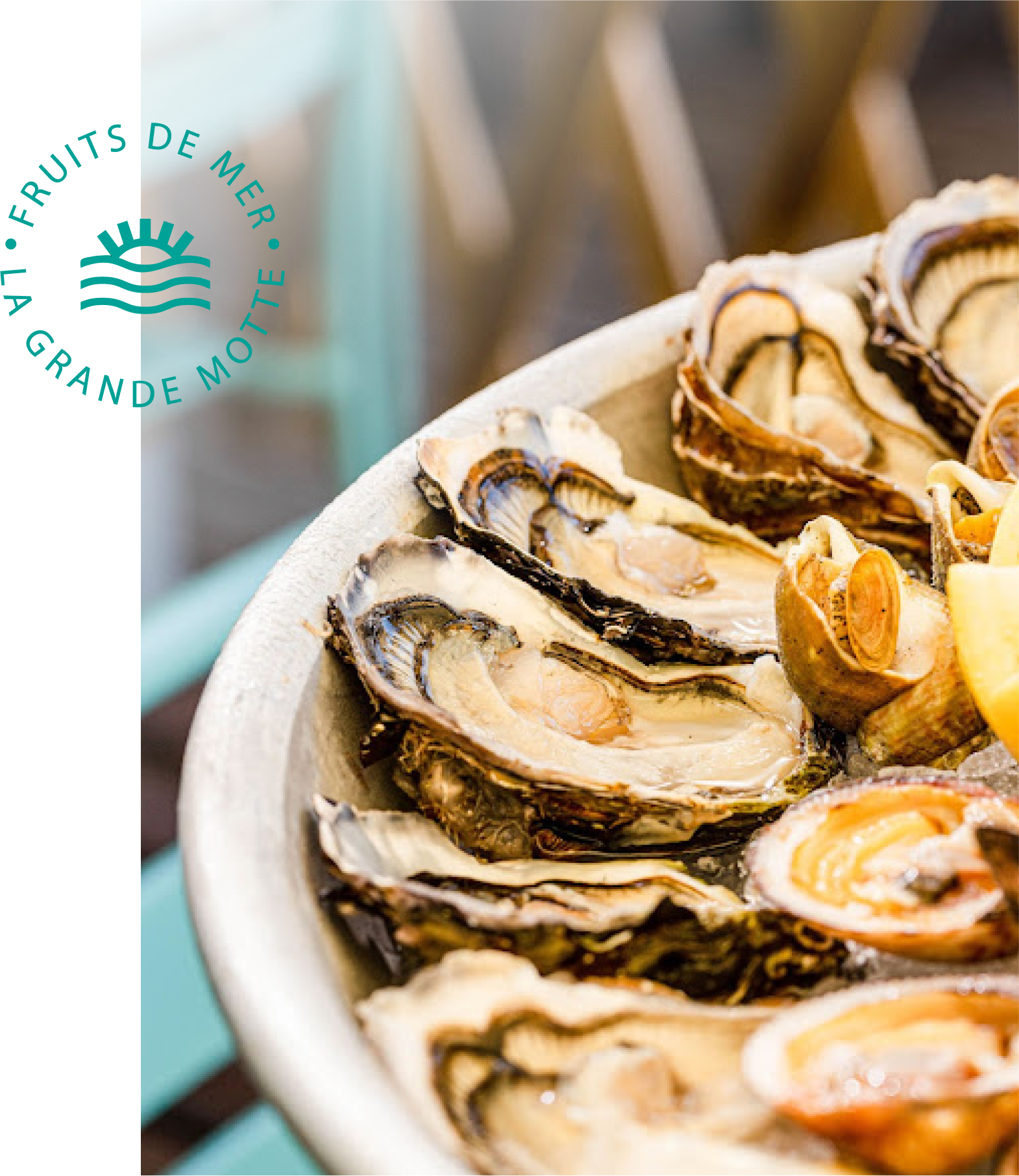 Saveurs Marines - restaurant LA GRANDE-MOTTE